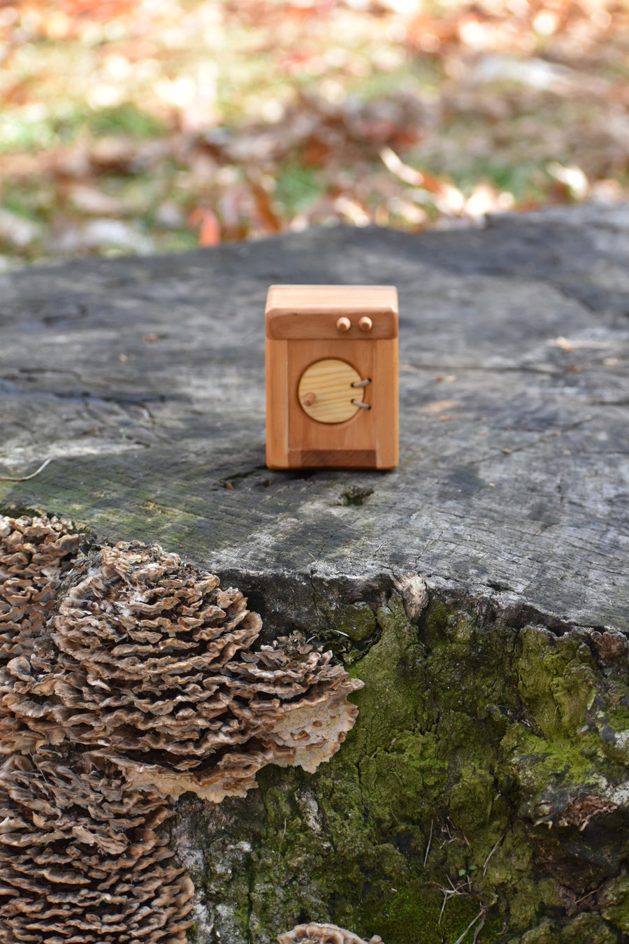 Willi's Holzwerkstatt "Washing Machine"