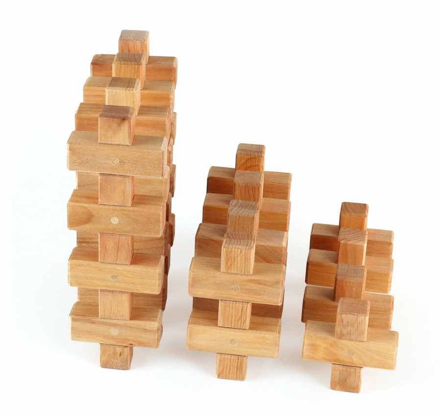 Bauspiel Plus Blocks (12 pieces)