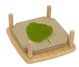 Drewart Flower Press with Birch Leaf